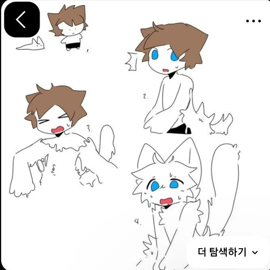 Wijd0의 퍼리감염