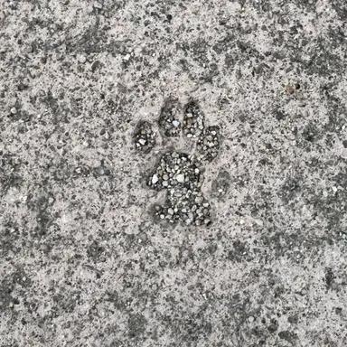 Profile image of 루시안 에셀바흐