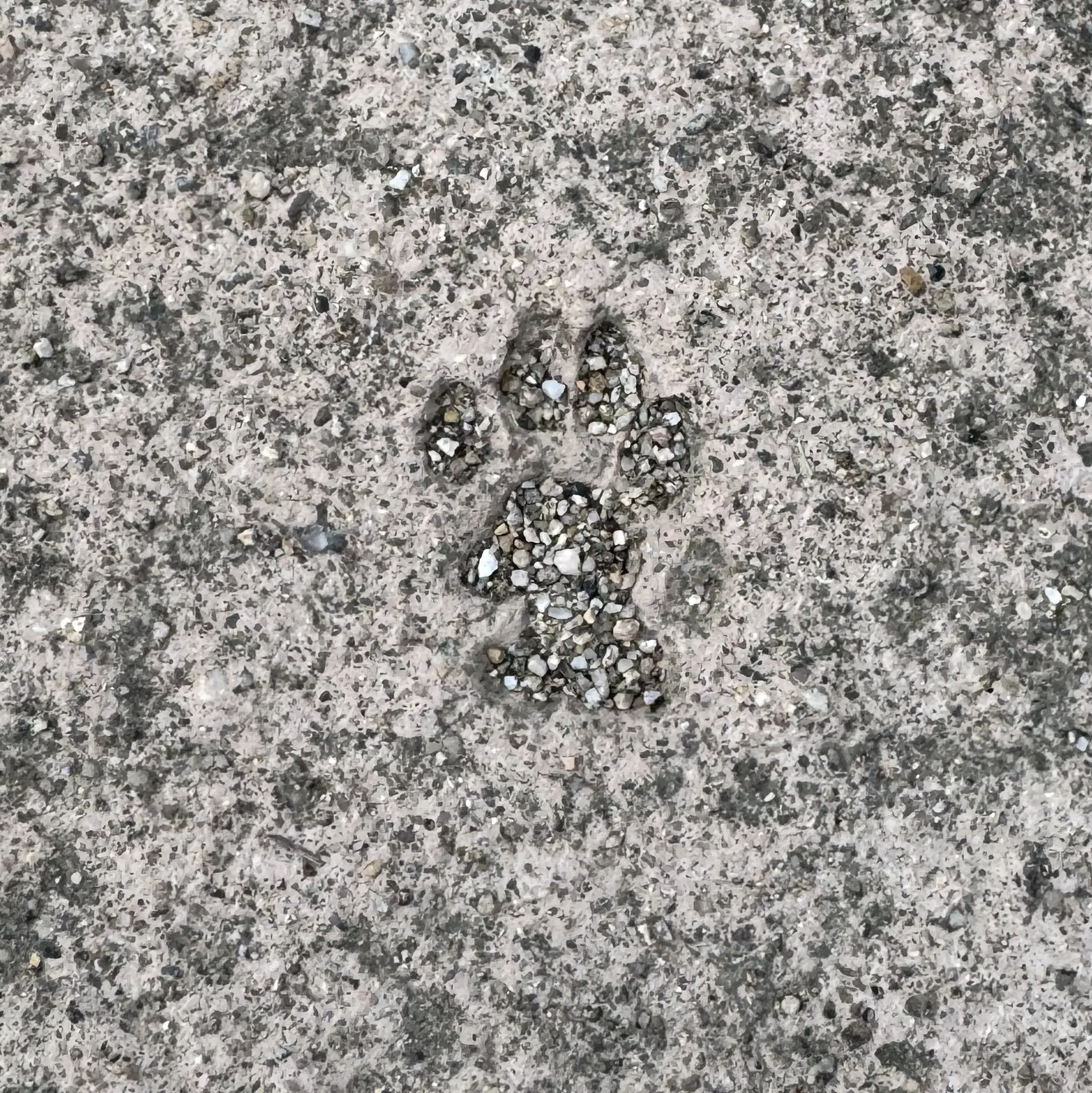 Zeta_dislike의 루시안 에셀바흐