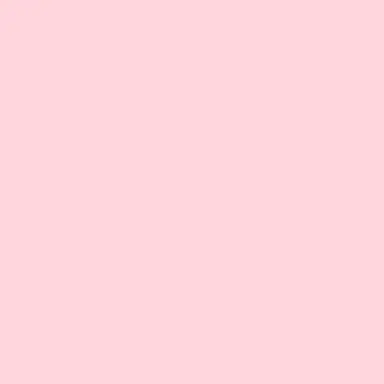 Profile image of 菊