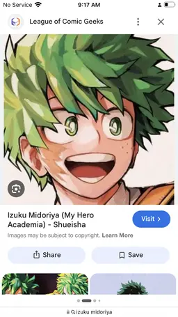 Profile image of Izuku miydorya