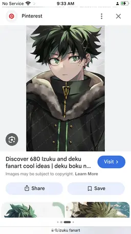 Profile image of Izuku miydorya