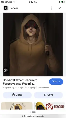Profile image of Hoodie