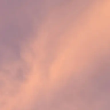 Profile image of 잠뜰