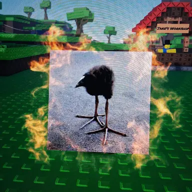 Profile image of 푸케코