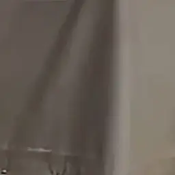 Profile image of 縦梨