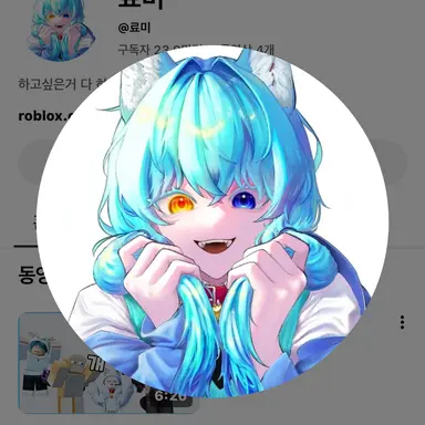 Profile image of 료미