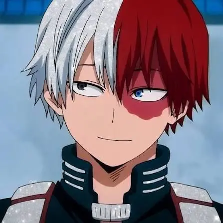 GoldenCloak6951의 Shoto todoroki