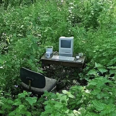 Profile image of ...