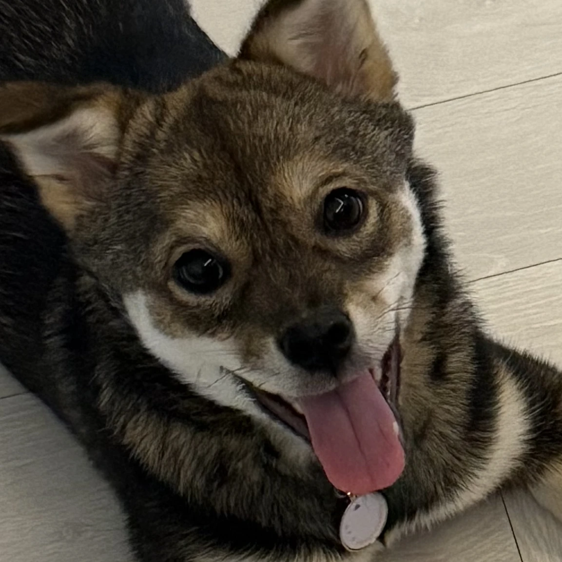 팥떡