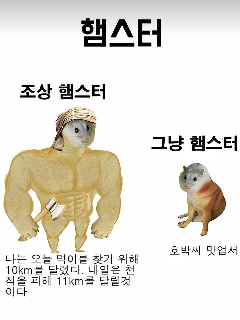 주인장 대표 이미지