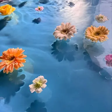 Profile image of 이혁재