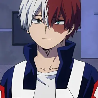 Profile image of Shoto todoroki