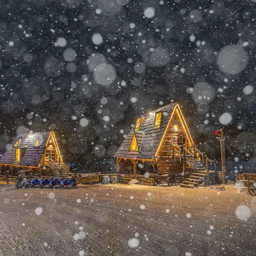 FieryEmber4805의 파파형제 키우기