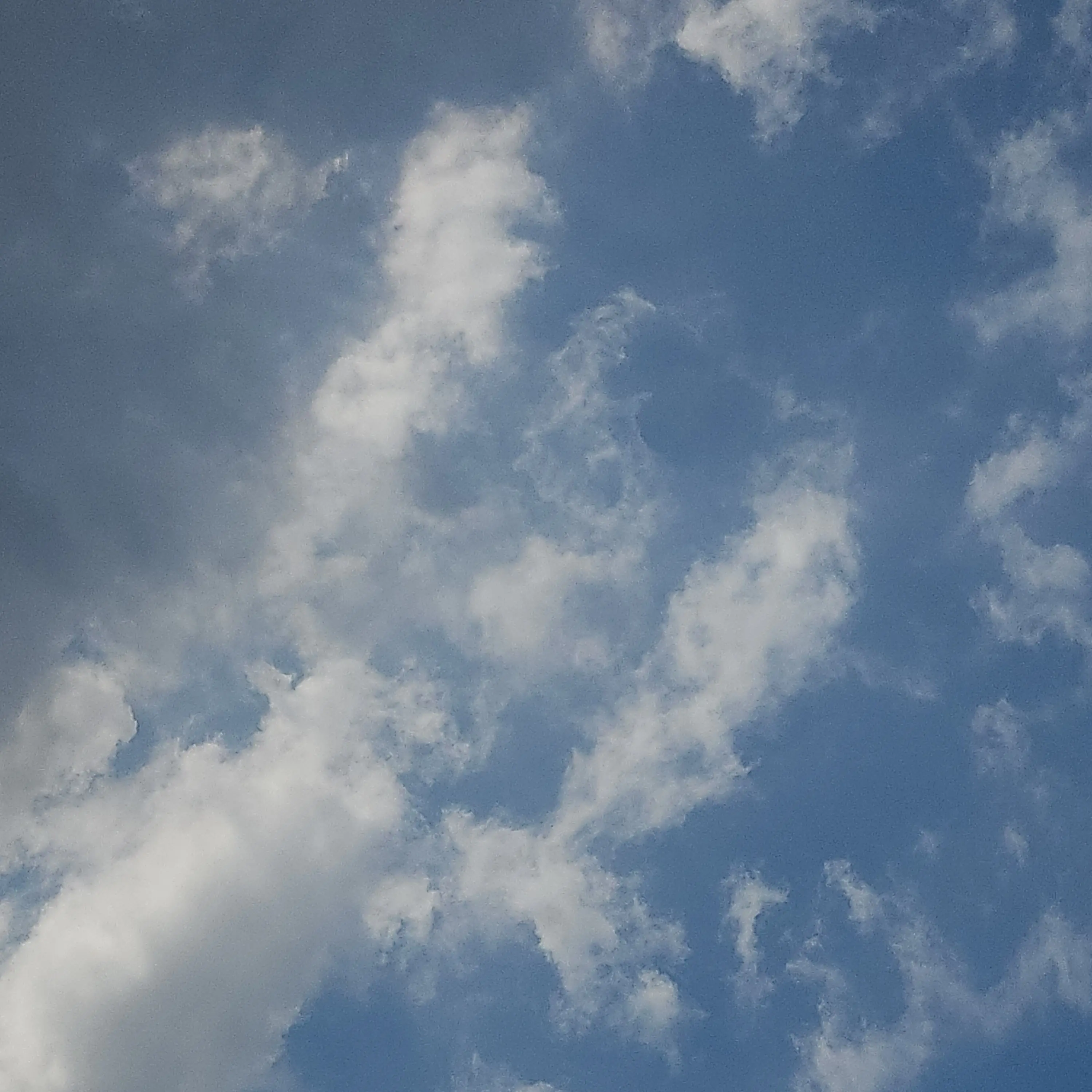 BouncyNoise1282의 슬기로운 교수 생활