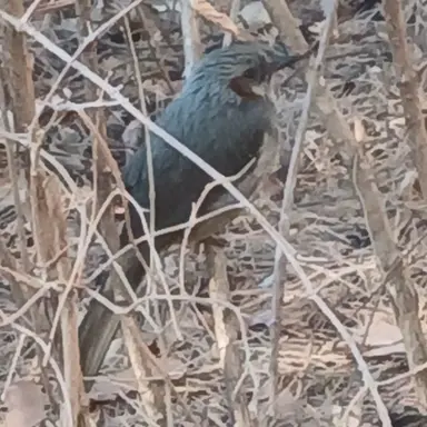 Profile image of 여우