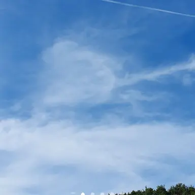 Profile image of 여우