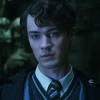 Profile image of Tom Riddle