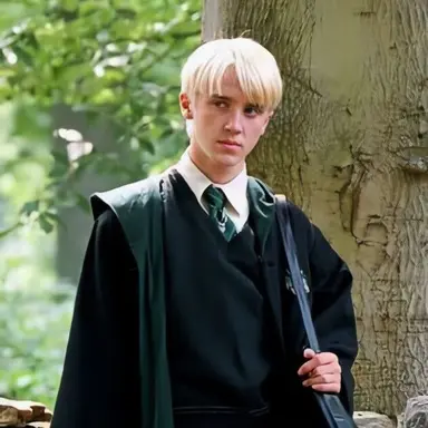 Profile image of Draco Malfoy
