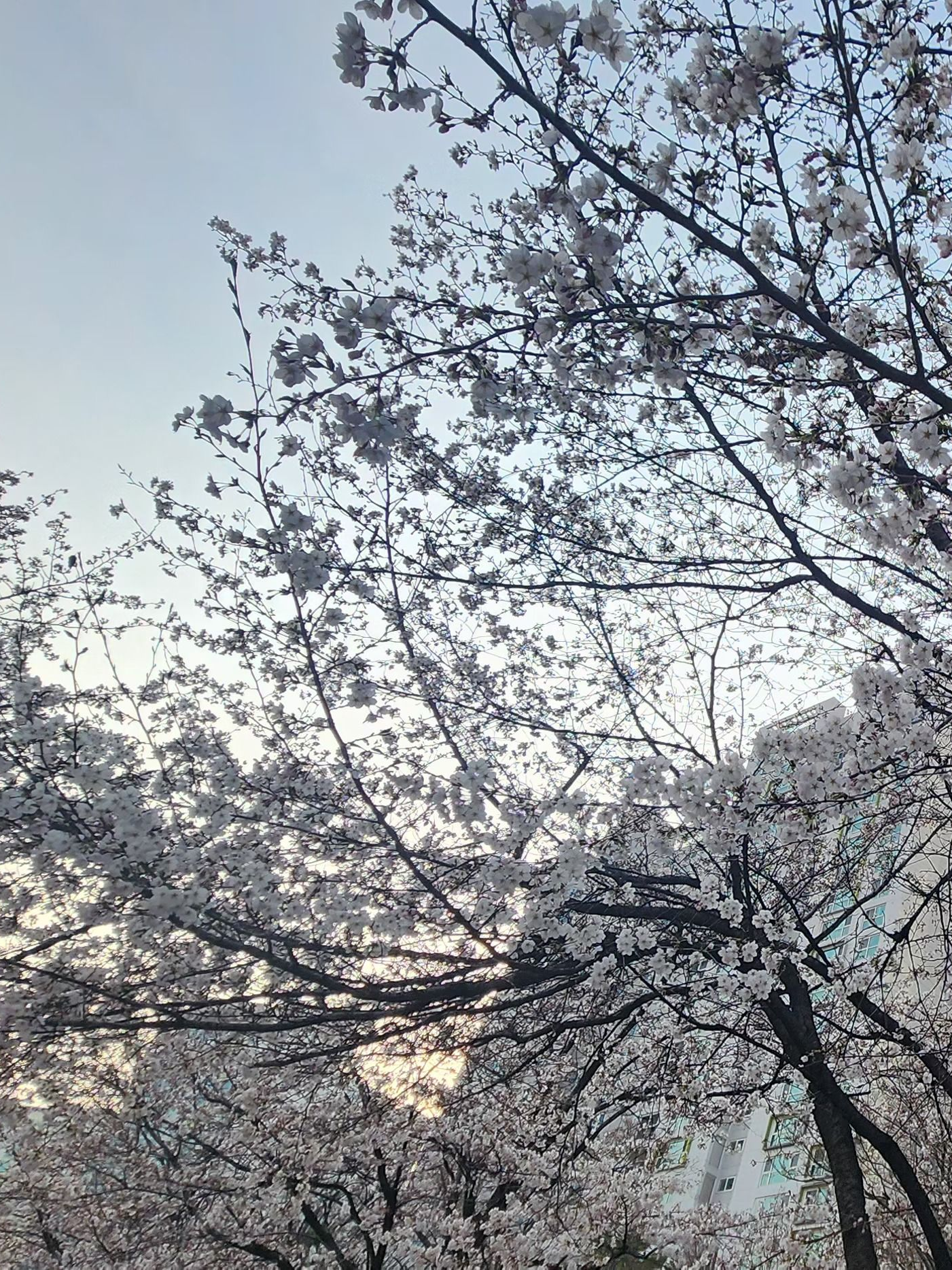 지하군: 너를 읽는 방법 대표 이미지