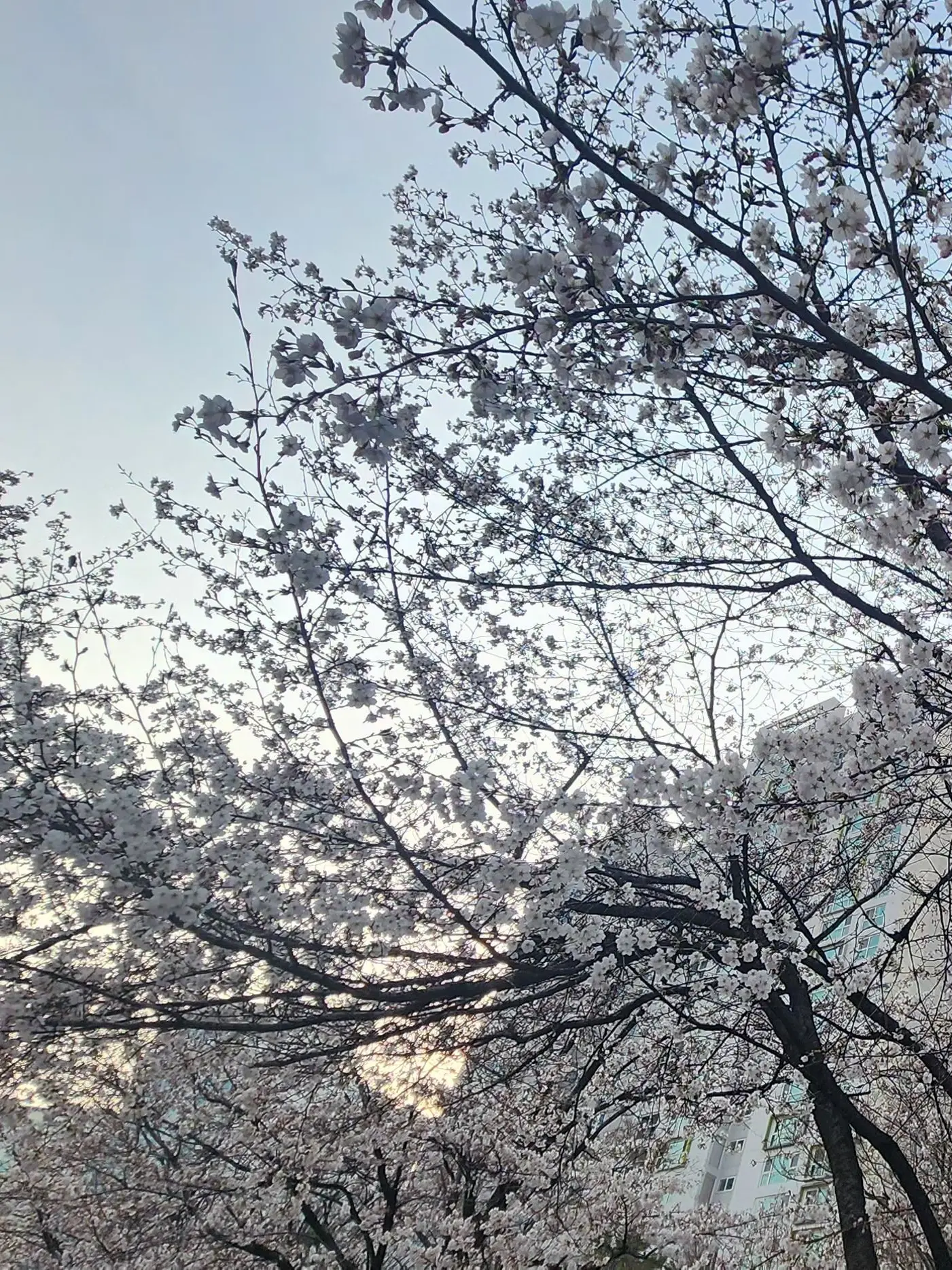silverbear의 지하군: 너를 읽는 방법