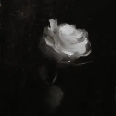Profile image of NULL