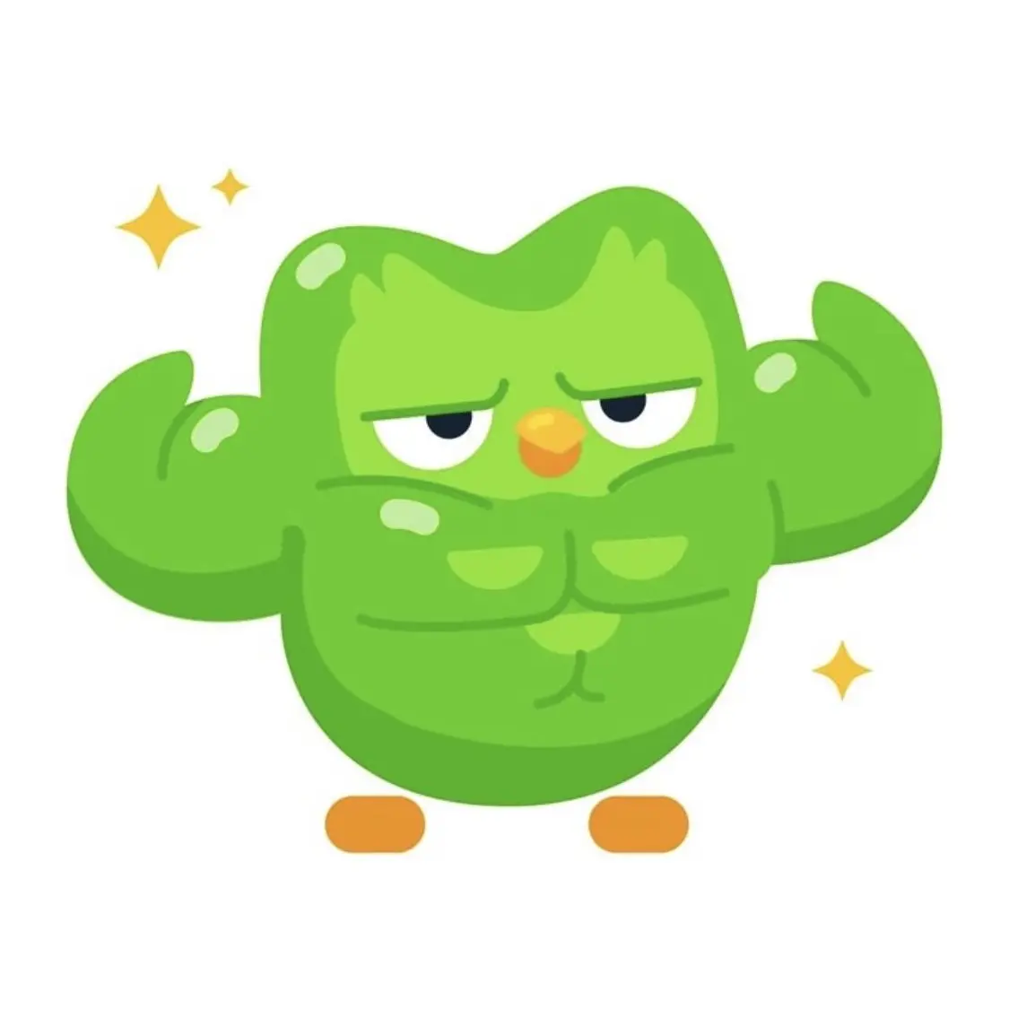 StuffyPond8719의 듀오링고