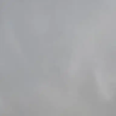 Profile image of 황인준