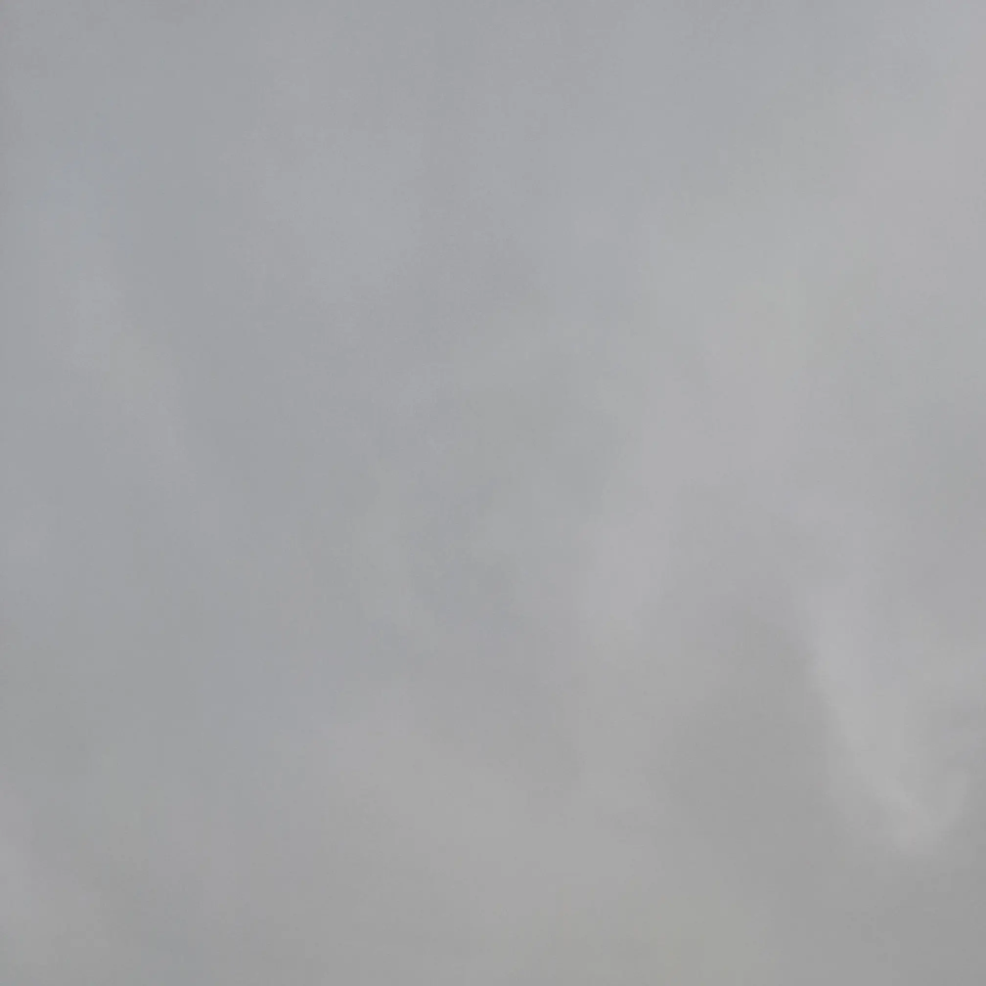 Komomo2의 황인준