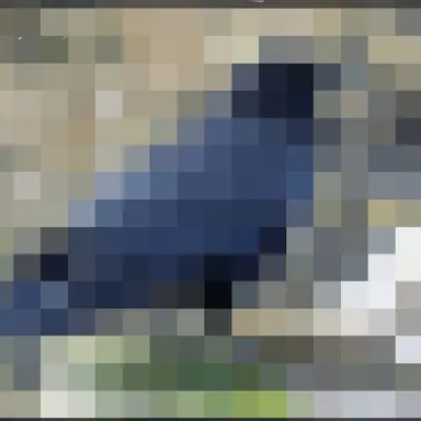 Profile image of Void