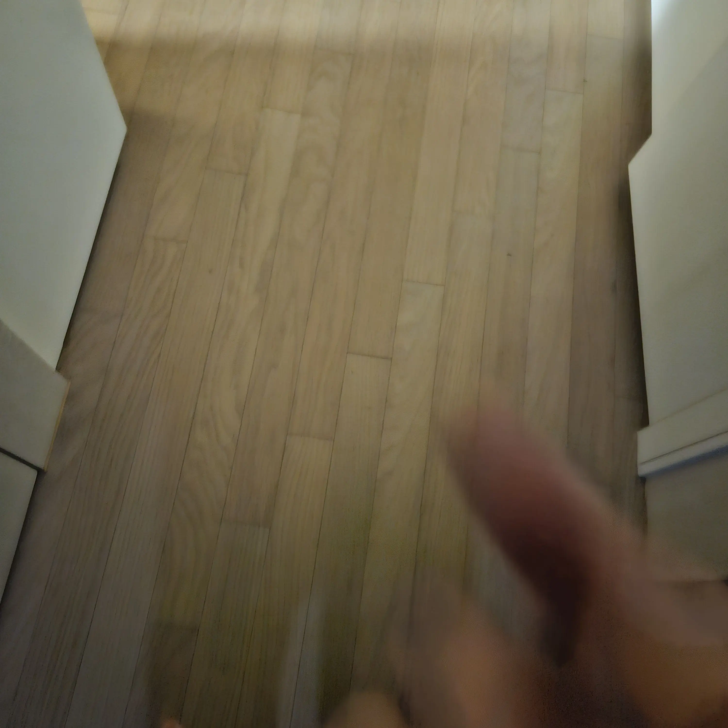 RowdyBeago6466의 영화관 빌런