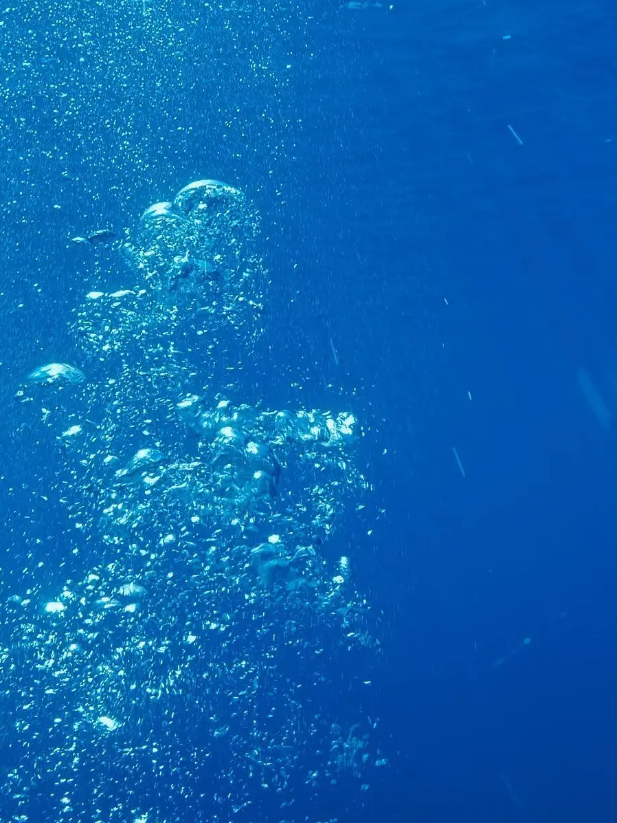 applejam_00의 コミュ障 な 人魚さん