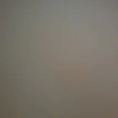 Profile image of 마샤