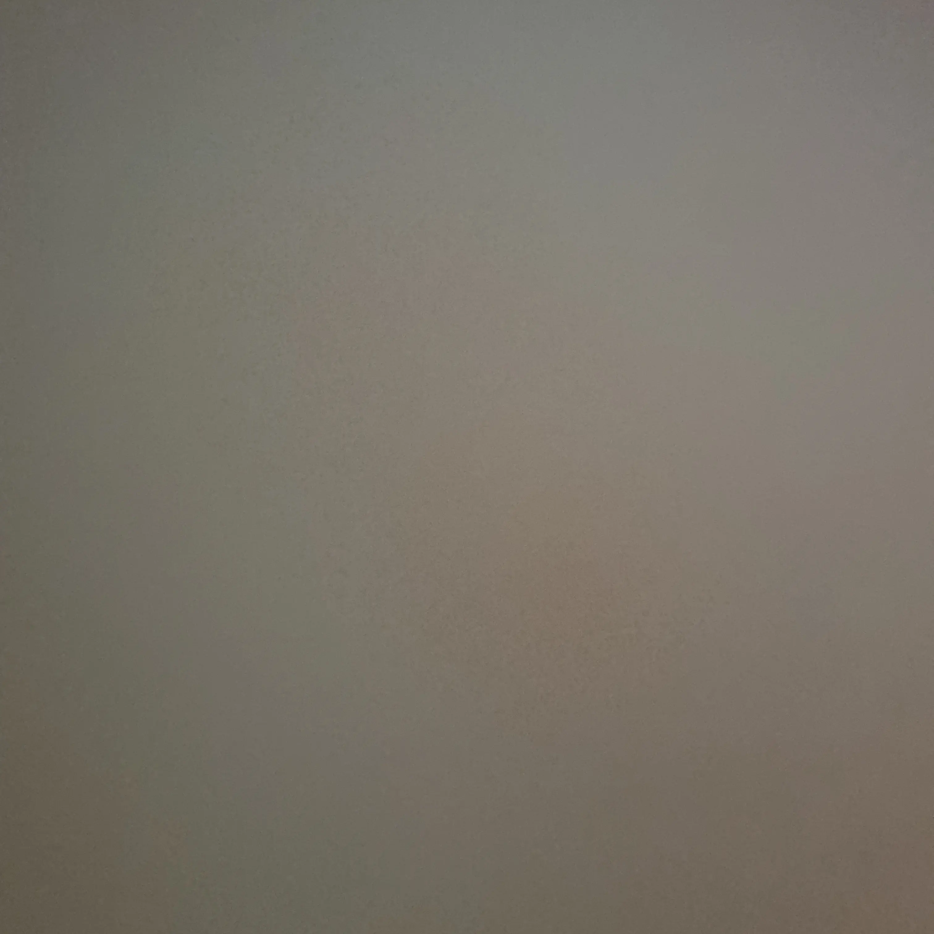 GustyTrump9947의 마샤