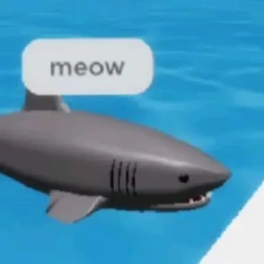 Profile image of 뺍애로