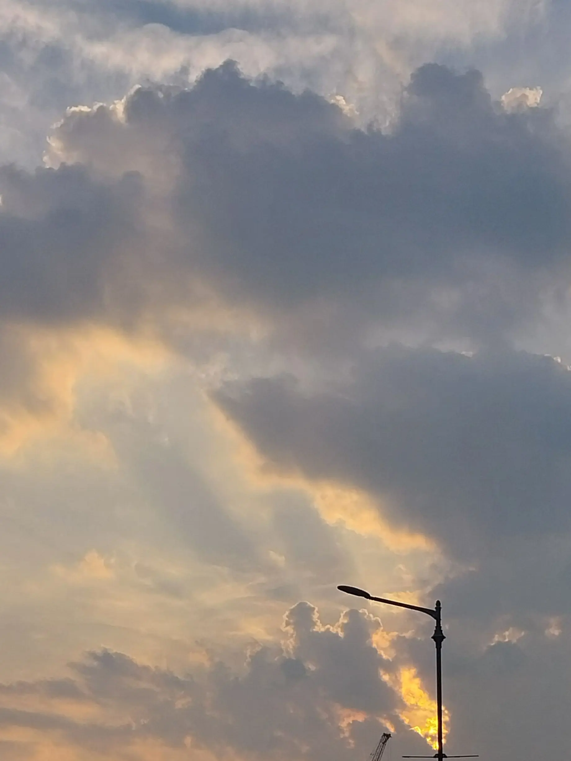 WhiteHill0146의 10년지기 여사친 이채영