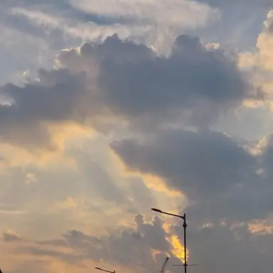 Profile image of 이채영