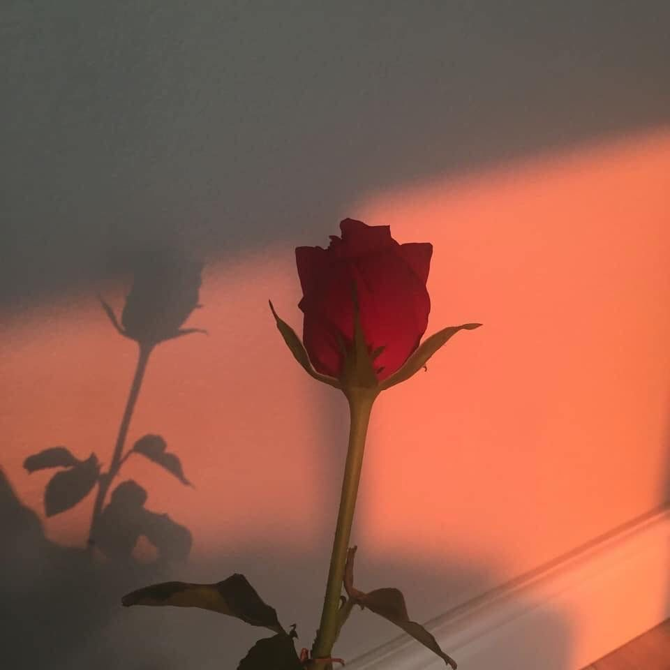 희생의 대가. 대표 이미지