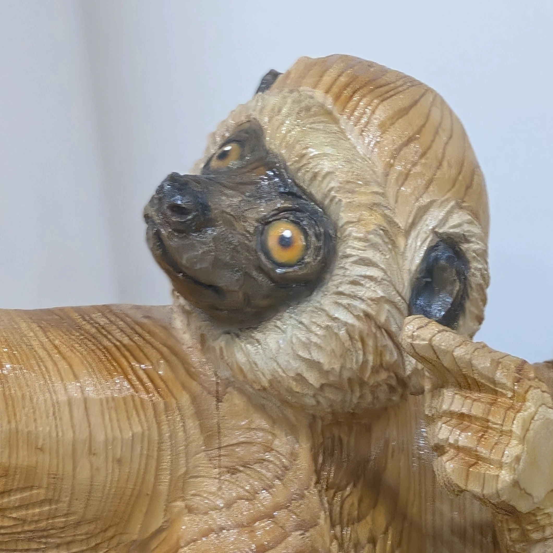 獣