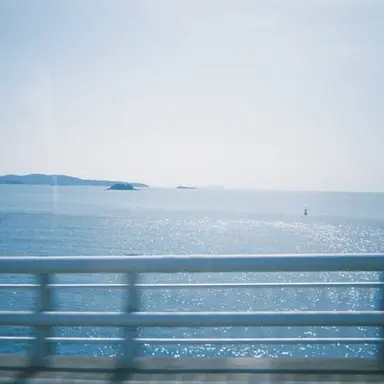 Profile image of 파이브