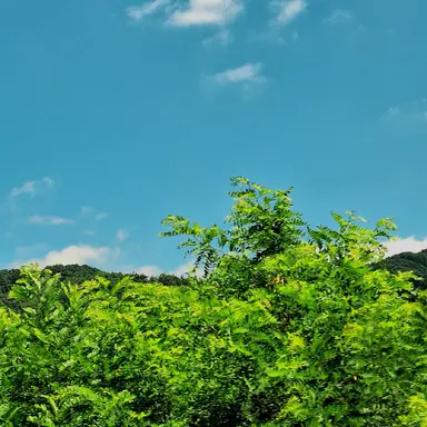 Profile image of 박해민