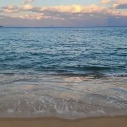 Profile image of 사자보이즈