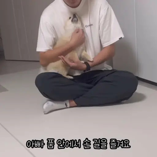 JumpyBaya1787의 김양갱은 못말려