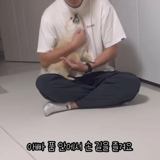 김양갱은 못말려