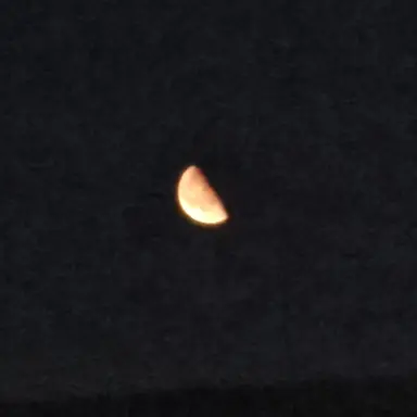 Profile image of KDJ