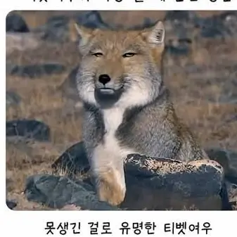Profile image of 늑디