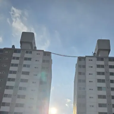 Profile image of 서라더