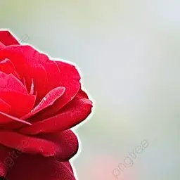 Profile image of 大森元貴