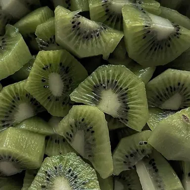 Profile image of 로보 프로스터