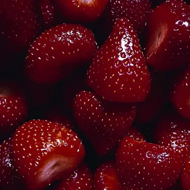 Profile image of 코요 템페스트